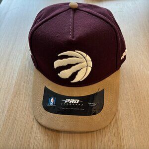 NWT Toronto Raptors Fitted Cap
